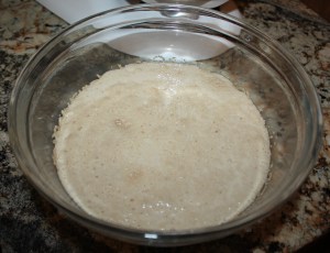 Microorganisms in action! 