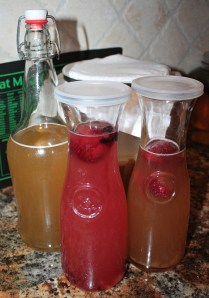 There are many options for jars. As long as it creates a tight seal, it will build carbonation during the second ferment.
